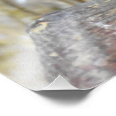 Impression Photo Homme Blackbird (Coin)