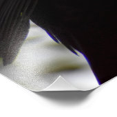 Impression Photo Homme Blackbird (Coin)