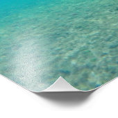 Impression Photo Honu Hawaiin Green Sea Turtle Underwater Print (Coin)