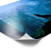 Impression Photo Howling Wolf en nature (Coin)