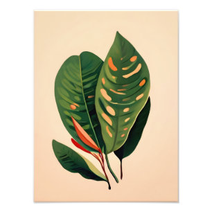 Impression Photo Hoya Art : Paradis de la feuille tropicale