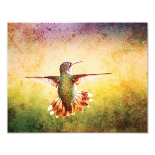 Impression Photo Hummingbird Wall Art Print (Devant)
