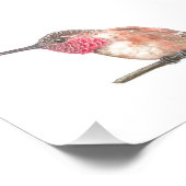 Impression Photo Hummingbird watercolor (Coin)