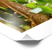 Impression Photo Hyde Park - Park Bench (Coin)