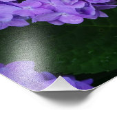 Impression Photo Hydrangea 20"x16" (Coin)