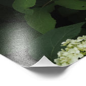 Impression Photo Hydrangea lisse 19"x13" (Coin)