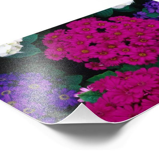 IMPRESSION PHOTO HYDRANGEAS ROSE SOMBRE PURPLES FLEURS BEAUTÉ NATUR (Coin)