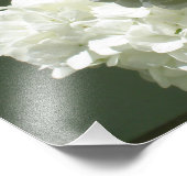 Impression Photo Hydrangées blanches de 19 po x 13 po (Coin)