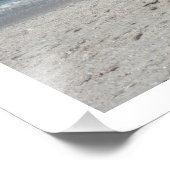 Impression Photo Ibis blanc sur la plage de sable rose (Coin)