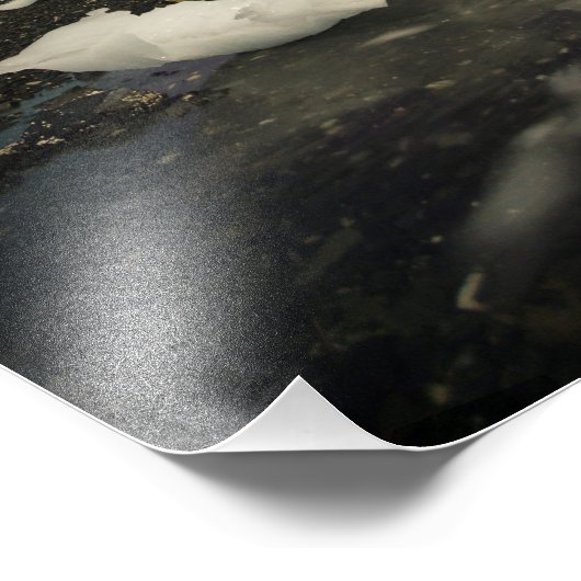 Impression Photo Iceberg Aurora (Coin)