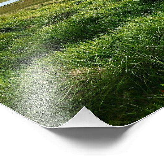 Impression Photo Iceland: ‎⁨Sauðárkrókur⁩ (Coin)