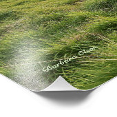 Impression Photo Icelandic horses; country scene (Coin)