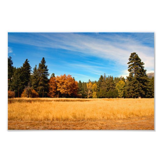Impression Photo Idyllwild - Pine Cove (Devant)