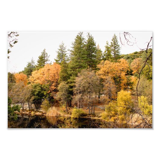Impression Photo Idyllwild - Pine Cove (Devant)