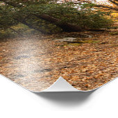 Impression Photo Idyllwild - Pine Cove (Coin)