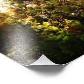Impression Photo Idyllwild - Pine Cove (Coin)