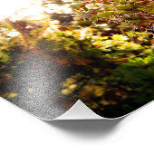 Impression Photo Idyllwild - Pine Cove (Coin)