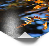 Impression Photo Idyllwild - Pine Cove (Coin)