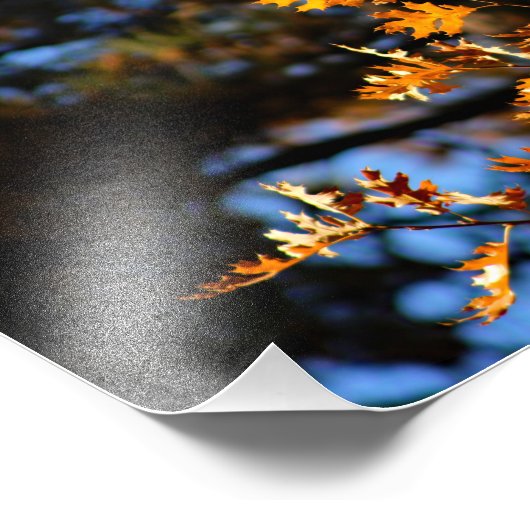 Impression Photo Idyllwild - Pine Cove (Coin)