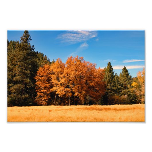 Impression Photo Idyllwild - Pine Cove (Devant)