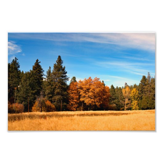 Impression Photo Idyllwild - Pine Cove (Devant)