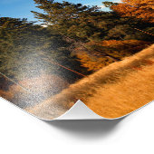 Impression Photo Idyllwild - Pine Cove (Coin)