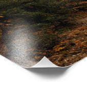 Impression Photo Idyllwild - Pine Cove (Coin)