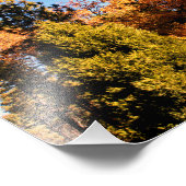 Impression Photo Idyllwild - Pine Cove (Coin)