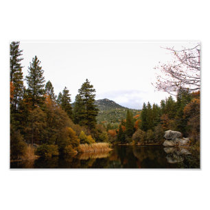 Impression Photo Idyllwild - Pine Cove