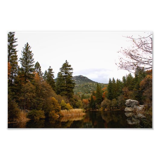 Impression Photo Idyllwild - Pine Cove (Devant)