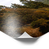 Impression Photo Idyllwild - Pine Cove (Coin)