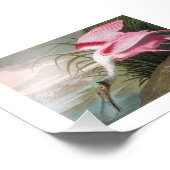 Impression Photo Illustration Audubon Spoonbill (Coin)