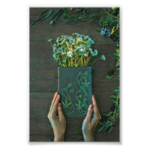 Impression Photo illustration de bibliothèque vintage