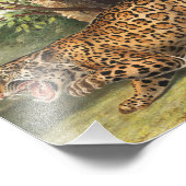 Impression Photo Illustration de Jaguar (Felis onca) (Coin)