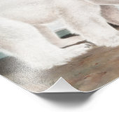 Impression Photo Illustration de l'Ours polaire (Ursus maritimus) (Coin)