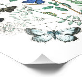 Impression Photo Illustration de papillons vintage (Coin)