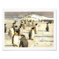 Illustration de pingouins en Antarctique