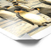 Impression Photo Illustration de pingouins en Antarctique (Coin)