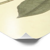 Impression Photo Illustration de rhododendron pourpre (Coin)