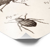 Impression Photo Illustration des insectes des insectes des années (Coin)