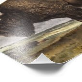 Impression Photo Illustration du bison américain (Bos Americanus) (Coin)