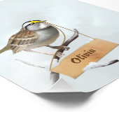 Impression Photo Illustration du Bruant (Coin)