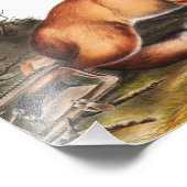 Impression Photo Illustration du Renard rouge américain (Vulpes Ful (Coin)