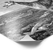 Impression Photo Illustration en noir et blanc gris (Coin)