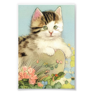 Impression Photo Illustration vintage de chat avec fleurs roses