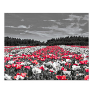 Impression Photo Image couleur sélective minimaliste du champ de fl