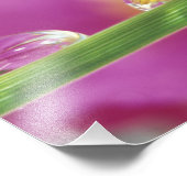 Impression Photo Image d'asters formés dans des gouttelettes d'eau (Coin)