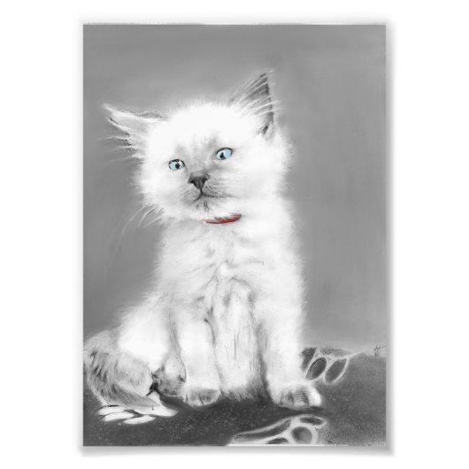 Impression Photo Image de chaton mignon (Devant)