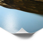 Impression Photo Image d'oiseau (Coin)