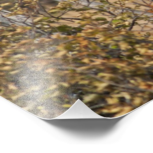 Impression Photo Impressionnant orignal (Coin)